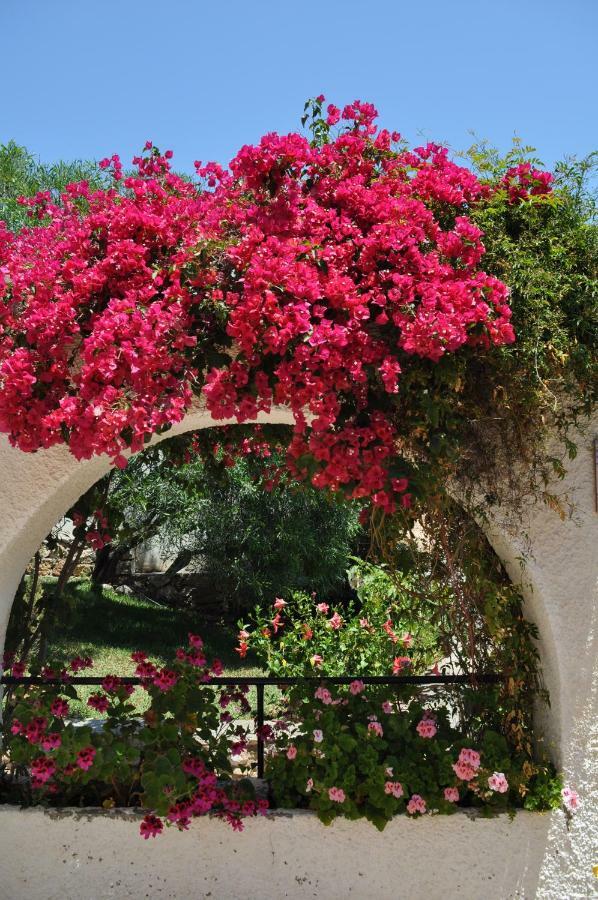 Vakantiehuis Casa Hortensia *